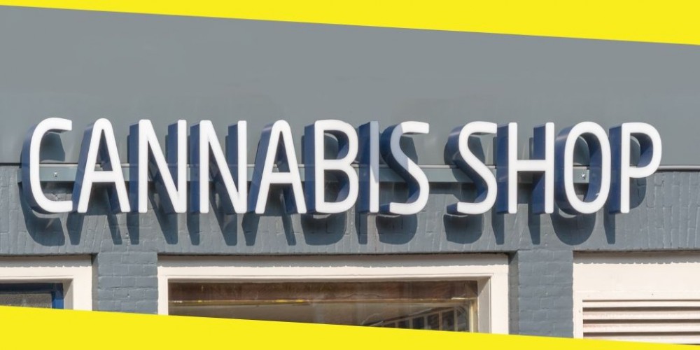 7 Tips on Choosing Online Cannabis Shops for New Users