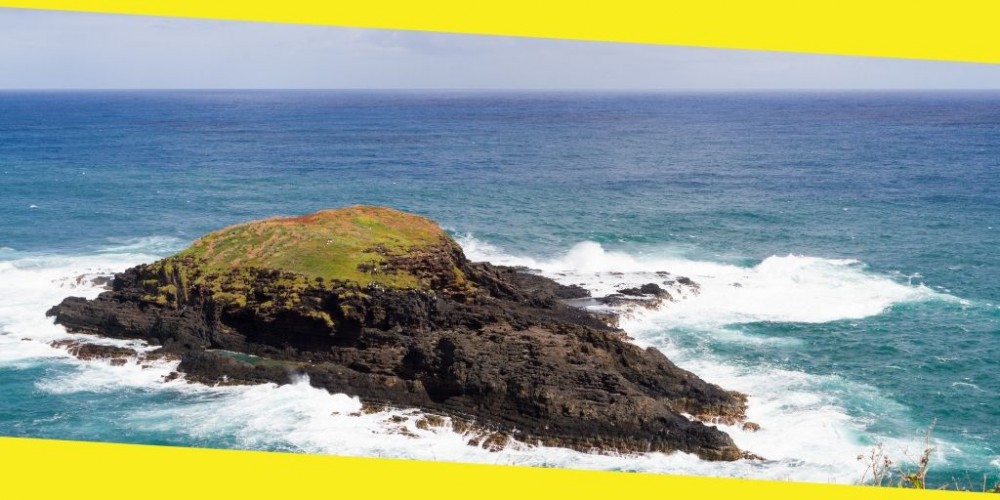 Which Hawaiian Island Should you Visit?