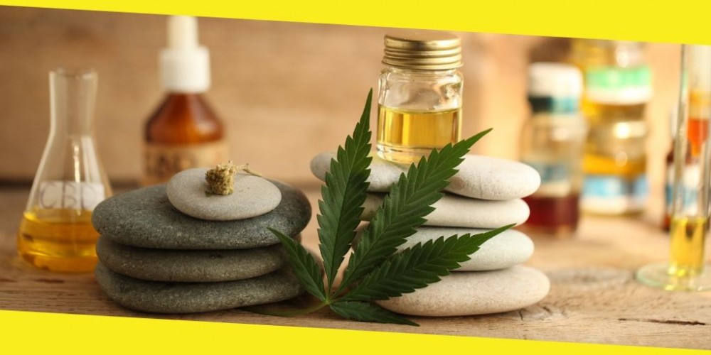 How Can CBD Products Improve Your Health and Immunity