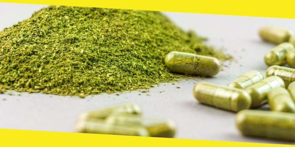 Things You Must Know About Kratom