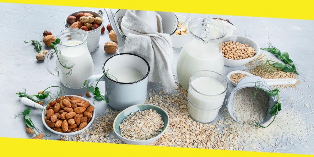 The Best Plant-based Milk: A Complete Guide