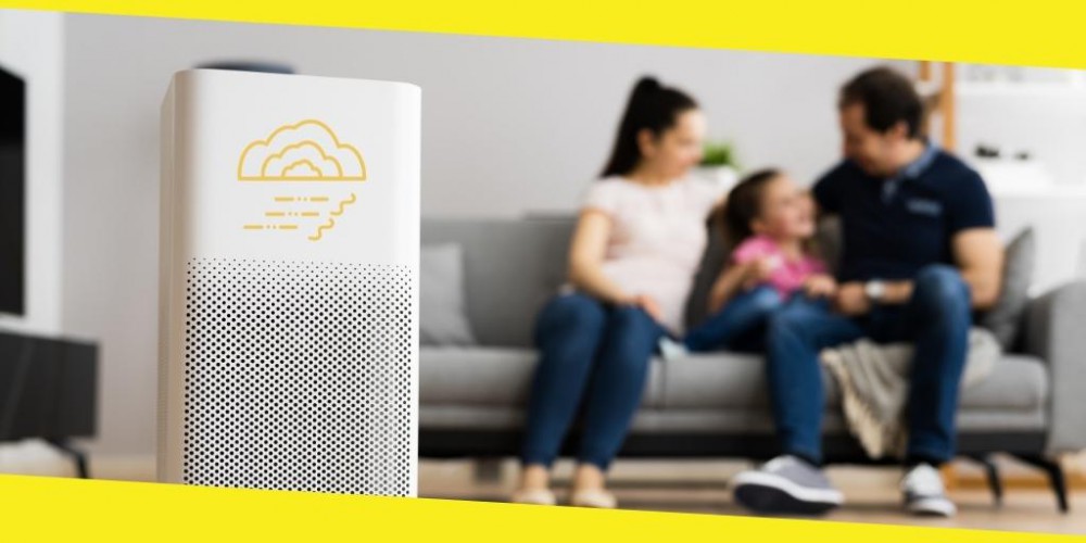 Do Air Purifiers Make a Difference in Treating Allergies?