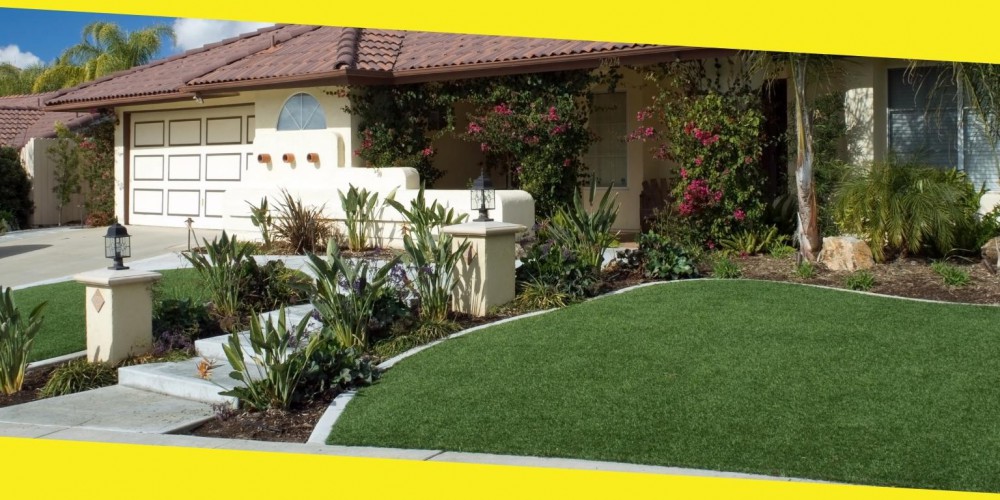 What Are the Benefits of Having a Healthy Lawn?